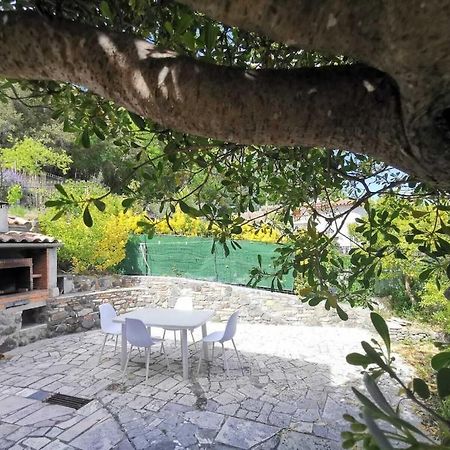 Bas De Villa Au Calme Villeneuve-Loubet Exterior photo